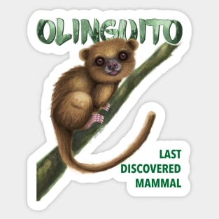 Mammal - Olinguito Sticker